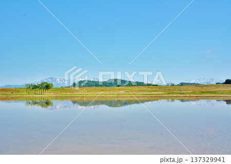 水田に写る初夏の田園のハサ木・残雪の越後三山 137329941