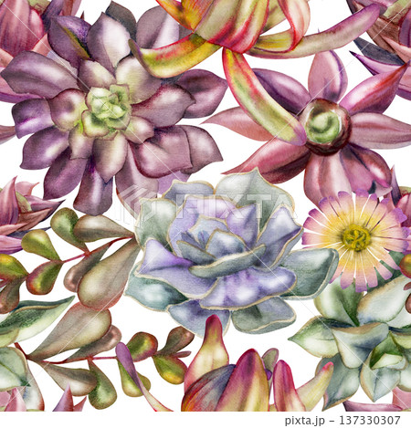 Kalanchoe, Leucadendron protea, echeveria rosette succulents, money plant leafy branches. Isolated illustration hand drawn in watercolor. Seamless pattern for backgrounds, sustainable design projects. 137330307