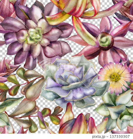 Kalanchoe, Leucadendron protea, echeveria rosette succulents, money plant leafy branches. Isolated illustration hand drawn in watercolor. Seamless pattern for backgrounds, sustainable design projects. 137330307