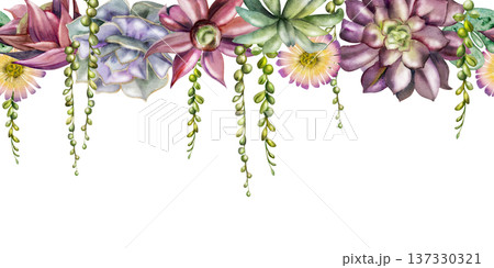 Rosette and trailing succulent vines with layered foliage, flowers. Isolated illustration hand drawn in watercolor. Seamless botanical banner for eco brand websites, modern interior design headers. 137330321