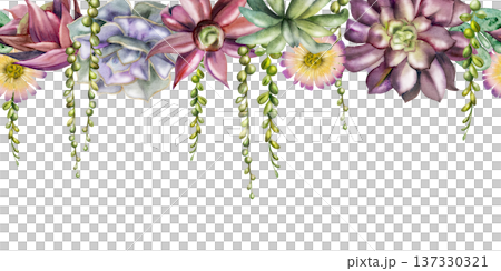 Rosette and trailing succulent vines with layered foliage, flowers. Isolated illustration hand drawn in watercolor. Seamless botanical banner for eco brand websites, modern interior design headers. 137330321