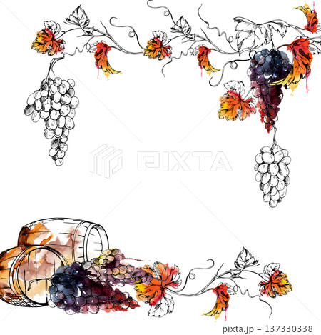 Border frame with wine barrel, grapevine with ripe grape clusters to harvest, autumn leaves. Hand drawn watercolor and ink illustration. Vineyard promotion, beverage labels, premium food branding. Border frame with wine barrel, grapevine with ripe grape clusters to harvest, autumn leaves. Hand drawn watercolor and ink illustration. Vineyard promotion, beverage labels, premium food branding. 137330338