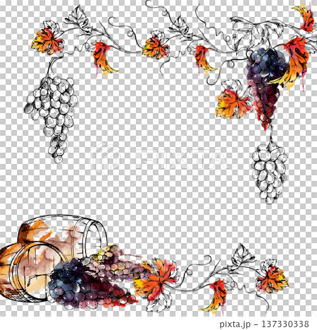 Border frame with wine barrel, grapevine with ripe grape clusters to harvest, autumn leaves. Hand drawn watercolor and ink illustration. Vineyard promotion, beverage labels, premium food branding. Border frame with wine barrel, grapevine with ripe grape clusters to harvest, autumn leaves. Hand drawn watercolor and ink illustration. Vineyard promotion, beverage labels, premium food branding. 137330338