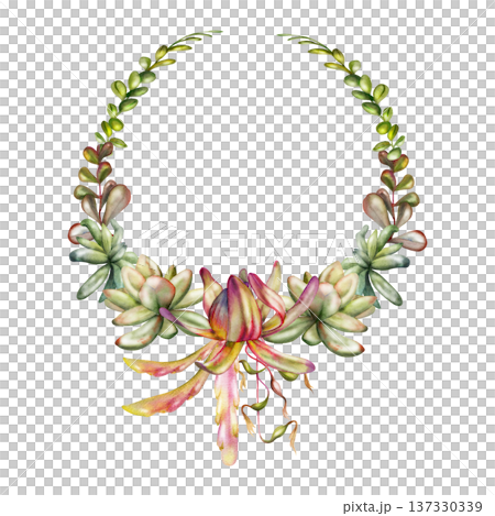 Succulent rosettes, hanging plants, Kimnachia cactus leaves, bromeliad epiphyte and string of bead vines. Isolated illustration hand drawn in watercolor. Botanical wreath frame. Handmade candle seals Succulent rosettes, hanging plants, Kimnachia cactus leaves, bromeliad epiphyte and string of bead vines. Isolated illustration hand drawn in watercolor. Botanical wreath frame. Handmade candle seals 137330339