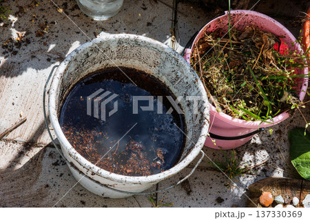 Top view of plastic buckets filled with soil, water, dirt and compost during the replanting process. Balcony gardening Top view of plastic buckets filled with soil, water, dirt and compost during the replanting process. Balcony gardening 137330369