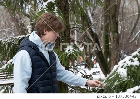 Man touching snow on branches in winter park. Outdoor Lifestyle 137330445