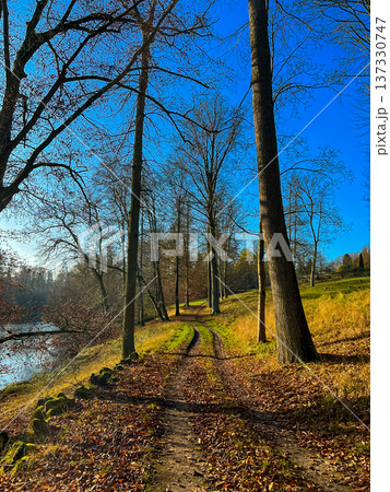 Scenic autumn park path with trees, Lake, and clear blue sky Scenic autumn park path with trees, Lake, and clear blue sky 137330747