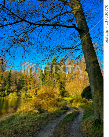 Stunning autumn scene in waterloo, belgium scenic road, lake, trees and blue sky Stunning autumn scene in waterloo, belgium scenic road, lake, trees and blue sky 137330770