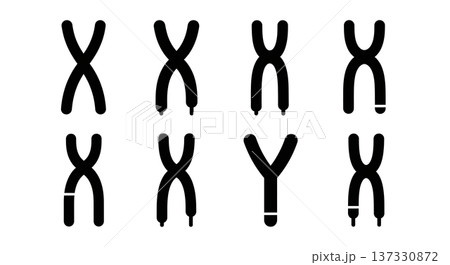 Black Solid Chromosome X and Y Silhouettes Set of Six on White Background 137330872