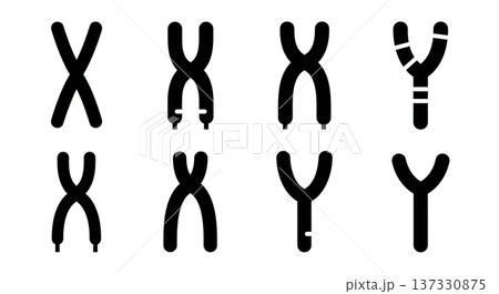 Black Solid Chromosome X and Y Silhouettes Set of Six on White Background Black Solid Chromosome X and Y Silhouettes Set of Six on White Background 137330875