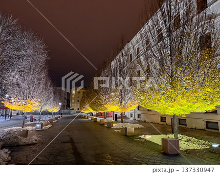 Street lined with illuminated trees and snow during night in urban area Street lined with illuminated trees and snow during night in urban area 137330947