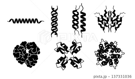Black Solid Amino Acid Protein Silhouettes Set of Six on White Background 137331036