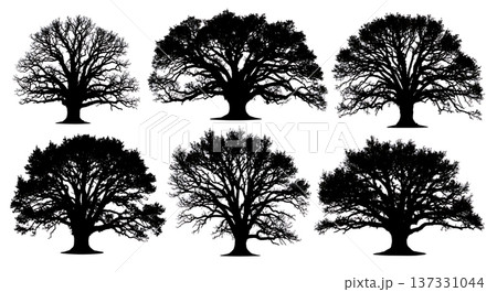 Black Solid Ancient Spreading Oak Tree Silhouettes Set of Six 137331044