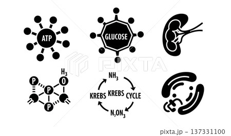 Black Solid ATP Energy Molecular Silhouettes Set of Six on White Background Black Solid ATP Energy Molecular Silhouettes Set of Six on White Background 137331100