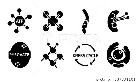 Black Solid ATP Energy Molecular Silhouettes Set of Six on White Background 137331101