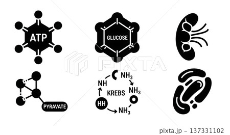 Black Solid ATP Energy Molecular Silhouettes Set of Six on White Background Black Solid ATP Energy Molecular Silhouettes Set of Six on White Background 137331102