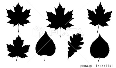 Black Solid Autumn Foliage Silhouettes Set of Six on White Background 137331131