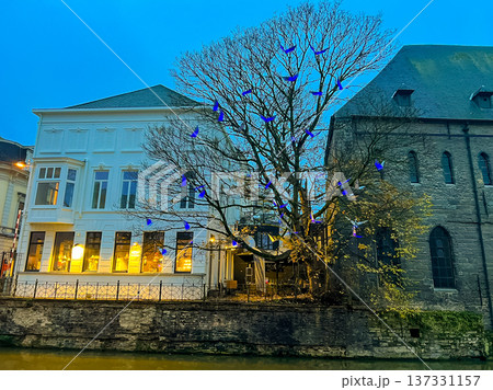 Enchanting evening scene: tree adorned with blue lights by riverbank in Ghent Enchanting evening scene: tree adorned with blue lights by riverbank in Ghent 137331157