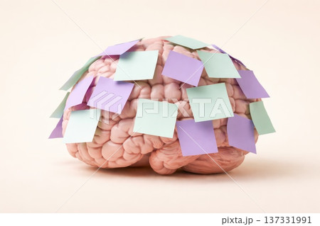 Human brain covered with colorful sticky notes representing memory overload and mental organization concept 137331991