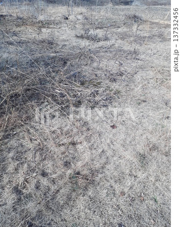 空き地 137332456