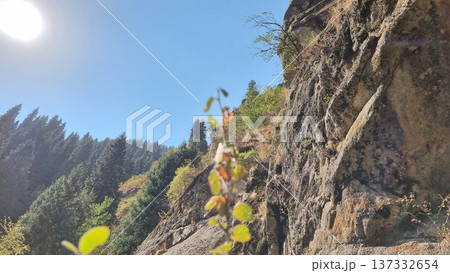 Beautiful View Of The Mountains Beautiful View Of The Mountains 137332654