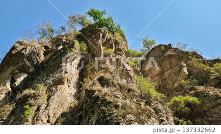 Beautiful View Of The Mountains 137332662