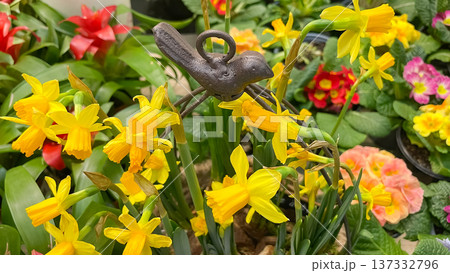 Yellow daffodils and a decorative metal bird figure in a blooming spring garden or flower shop. Yellow daffodils and a decorative metal bird figure in a blooming spring garden or flower shop. 137332796