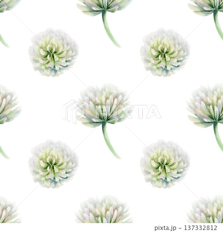 Clover white flower from vintage botanical guide,in watercolor seamless pattern.Hand drawn illustration for elegant bookplates,fine stationery design,classic botanical print collections and weddings Clover white flower from vintage botanical guide,in watercolor seamless pattern.Hand drawn illustration for elegant bookplates,fine stationery design,classic botanical print collections and weddings 137332812
