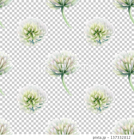 Clover white flower from vintage botanical guide,in watercolor seamless pattern.Hand drawn illustration for elegant bookplates,fine stationery design,classic botanical print collections and weddings 137332812