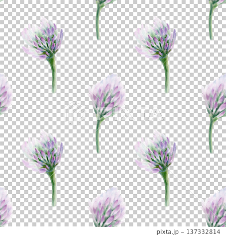 Clover soft lilac flower in seamless pattern symbolizing wedding grace and tender romance.Hand drawn watercolor in washes,fine detail for bridal stationery,spring celebrations,feminine design projects Clover soft lilac flower in seamless pattern symbolizing wedding grace and tender romance.Hand drawn watercolor in washes,fine detail for bridal stationery,spring celebrations,feminine design projects 137332814