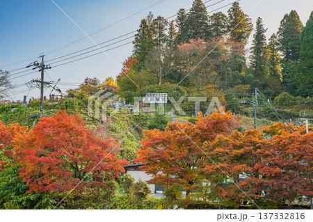 豊田市の道の駅どんぐりの里いなぶ周辺の紅葉の風景(愛知県) 137332816
