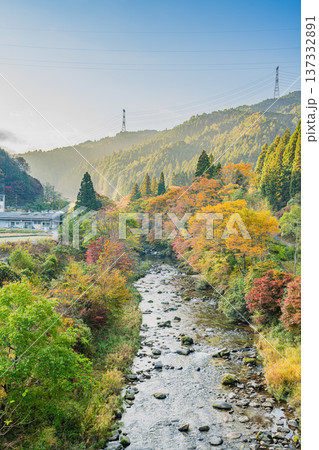 豊田市の大井平公園の紅葉した木々と名倉川の風景(愛知県) 豊田市の大井平公園の紅葉した木々と名倉川の風景(愛知県) 137332891