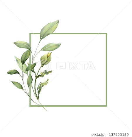 Square green line frame decorated with a branch of green leaves and a bud. Watercolor style illustration with copy space for text. 137333120