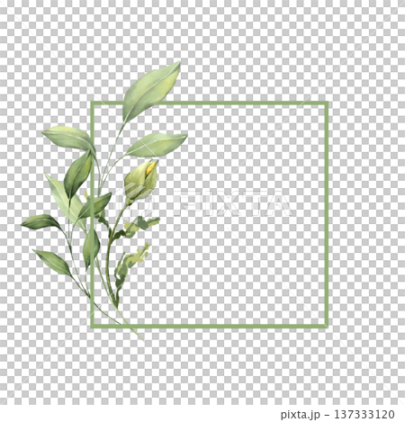 Square green line frame decorated with a branch of green leaves and a bud. Watercolor style illustration with copy space for text. 137333120