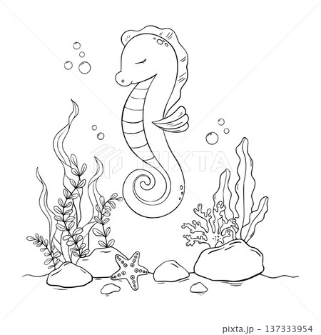 Underwater Animals. Coloring of seahorse, shells, algae, corals and bubbles. Underwater animal outline painted in black and white for kids design, poster, baby shower, newborn cards. Hand drawn Underwater Animals. Coloring of seahorse, shells, algae, corals and bubbles. Underwater animal outline painted in black and white for kids design, poster, baby shower, newborn cards. Hand drawn 137333954