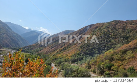 Beautiful Landscape In The Mountains 137334564