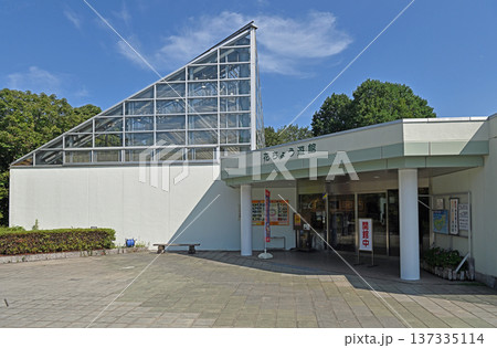 青空に映えるガラス張りの温室と白壁の建物 137335114
