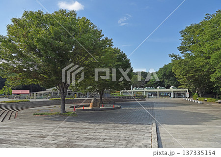 青空の下に広がる開放的な石畳の公園広場と豊かな木々 137335154