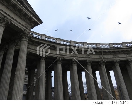 The colonnade of the Kazan Cathedral with ornate architectural details in St. Petersburg. View of the Kazan Cathedral and the sky with pigeons from a low angle, St. Petersburg, Russia. The colonnade of the Kazan Cathedral with ornate architectural details in St. Petersburg. View of the Kazan Cathedral and the sky with pigeons from a low angle, St. Petersburg, Russia. 137335340