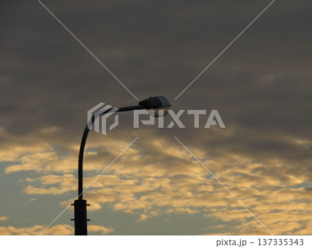 A street lamp on a city street against a background of Dramatic Cloudscape Of Wide Sky with delicate beige and delicate gray stratospheric clouds in a blue sky. Altocumulus 137335343