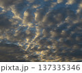 Dramatic Cloudscape Of Wide Sky With delicate beige and delicate gray Altocumulus Clouds At Sunset 137335346