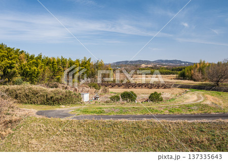 木津川左岸の河川敷風景　京都府京田辺市 137335643