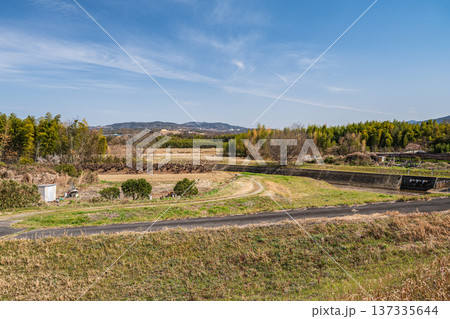 木津川左岸の河川敷風景　京都府京田辺市 137335644