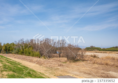 木津川左岸の河川敷風景　京都府京田辺市 137335652