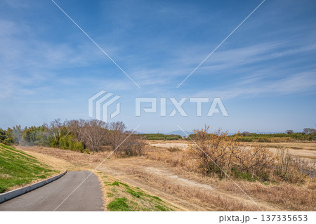 木津川左岸の河川敷風景　京都府京田辺市 137335653