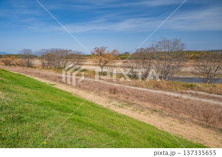 木津川左岸の河川敷風景　京都府京田辺市 137335655