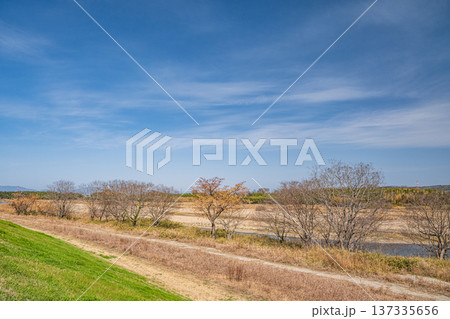 木津川左岸の河川敷風景　京都府京田辺市 137335656