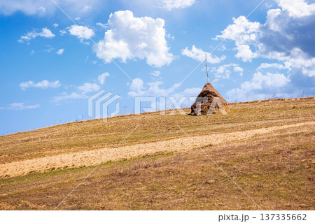 rural landscape in mountains under blue sky. agriculture nature in early spring. haystack on green hill. scenic countryside. green environment sustainability and protection. background for earth day rural landscape in mountains under blue sky. agriculture nature in early spring. haystack on green hill. scenic countryside. green environment sustainability and protection. background for earth day 137335662
