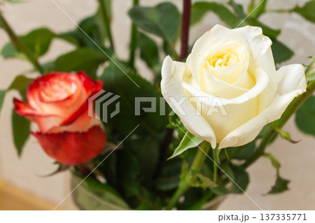 White,red roses with lily buds in glass vase. Elegant mixed flower bouquet. Fresh cut flowers arrangement for home decor 137335771