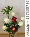 Romantic flower bouquet with white and red roses. Green stems in transparent vase. Fresh floral gift arrangement 137335786